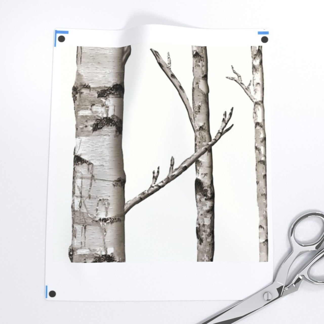 Smaller Scale Birch Grove Warm Gray White Forest Black Modern Woods Aspen Custom Removable Wallpaper by Spoonflower Peel & Stick Wallpaper 2FT Wide